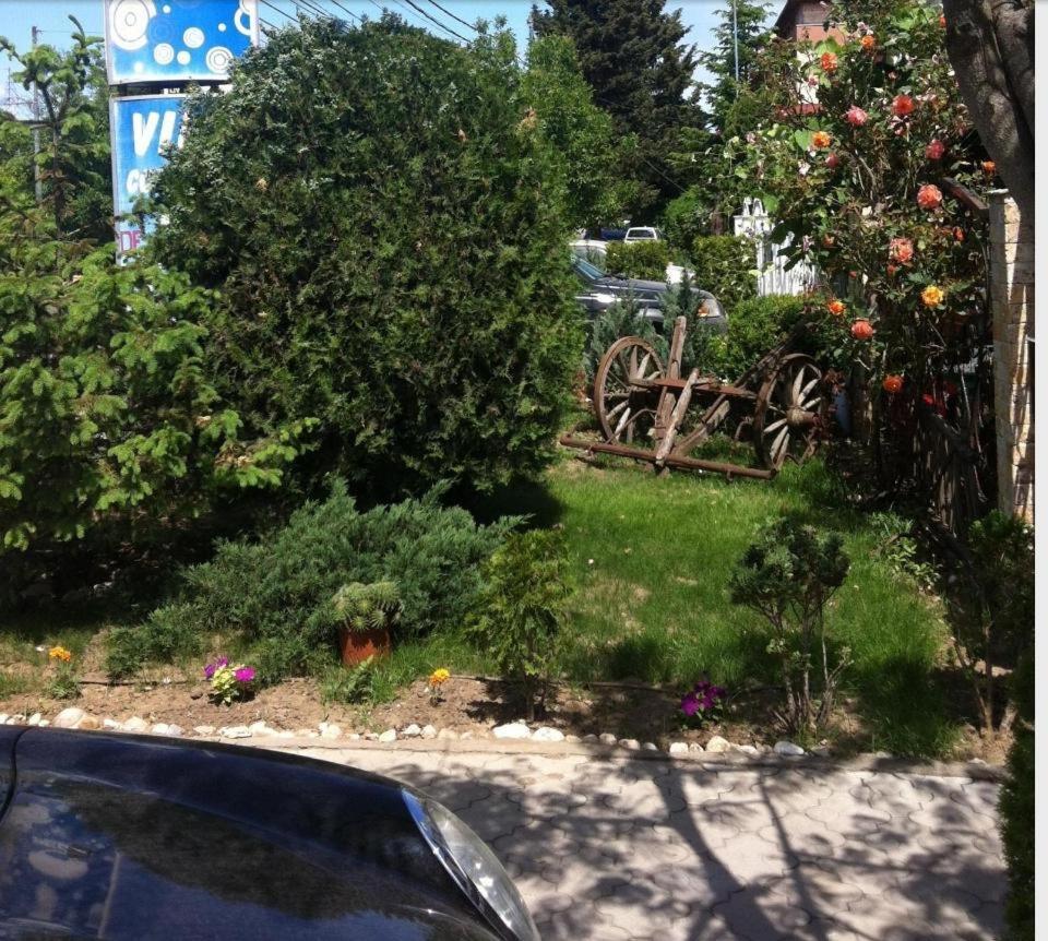 Eforie Villa-Colonial Экстерьер фото